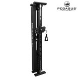 Functional Trainer Τοίχου Pegasus® T-SC01