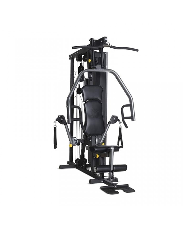 Πολυόργανο Γυμναστικής Horizon Torus 3 με Βάρη 80kg