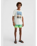 Ανδρικό T-Shirt O'neill Loren T-Shirt 2850123-11010M Snow White