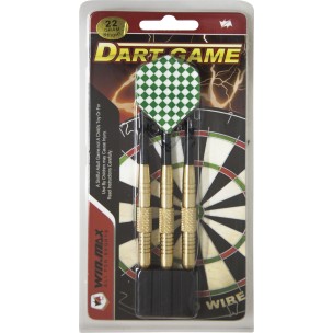 Βέλη με σιδερένια μύτη 22gr Win.Max 49148