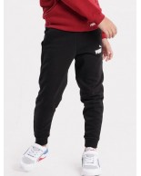 Παιδικό παντελόνι φόρμας Puma ESS Logo Pants FL cl B 586973-01