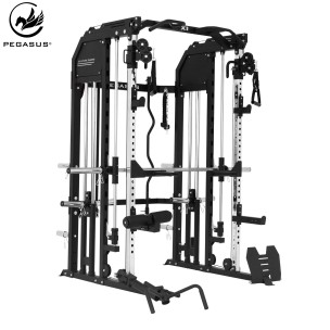 Πολυόργανο Pegasus All in One Trainer X1