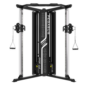 Πολυόργανο Pegasus Functional Trainer FT 300