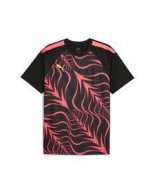Ανδρικό T-Shirt Puma individual Liga Graphic Jersey 658984-57