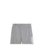 Ανδρικό Σόρτς Puma  Ess+ Logo Lab Shorts 10'' 678981-03