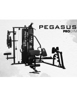 Pegasus Pro Gym 3 Θέσεων MT 18504 ABC