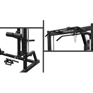 Pegasus® S3MF Smith Λ 5612