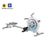 Κωπηλατική Viking Hybrid Rower