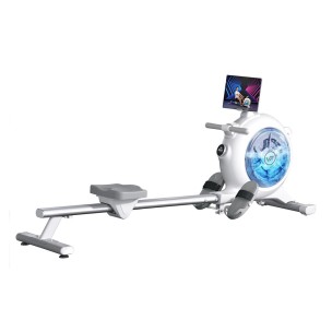 Κωπηλατική Viking Hybrid Rower