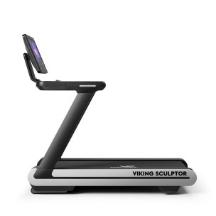 Ηλεκτρικός Διάδρομος Viking Sculptor 21.5'' Tft