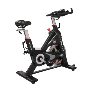 Μαγνητικό Ποδήλατο Pegasus Spin Bike PG5