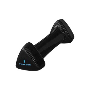 Τρίγωνος Αλτήρας Vinyl...