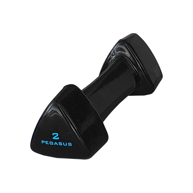 Τρίγωνος Αλτήρας Vinyl Pegasus PG-1005 3kg