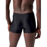 Ανδρικό Μαγιό Σορτς Speedo Medley Logo Aquashort M  11354-17512