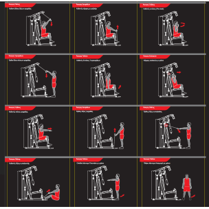 Πολυόργανο Γυμναστικής με Βάρη Pegasus MS-600 Λ-5210