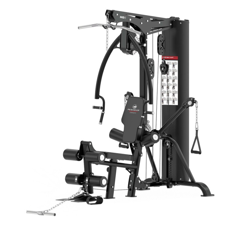 Πολυόργανο Γυμναστικής Pegasus HG8 με Βάρη 90kg