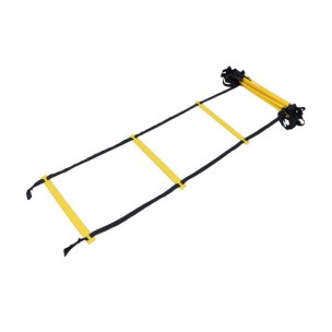 Σκάλα Επιτάχυνσης 6m Viking...