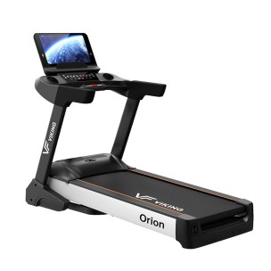 Ηλεκτρικός Διάδρομος Viking...