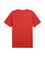 Ανδρικό T-Shirt Puma Ess 2 Color No. 1 Logo Tee 684708-15