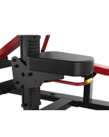 Όργανο Τρικεφάλων για ελεύθερα Βάρη Impulse SL7024