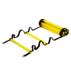 Όργανα Δεξιοτήτων