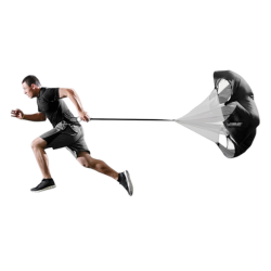 Όργανα Ενδυνάμωσης