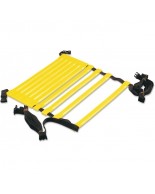 Όργανα Δεξιοτήτων